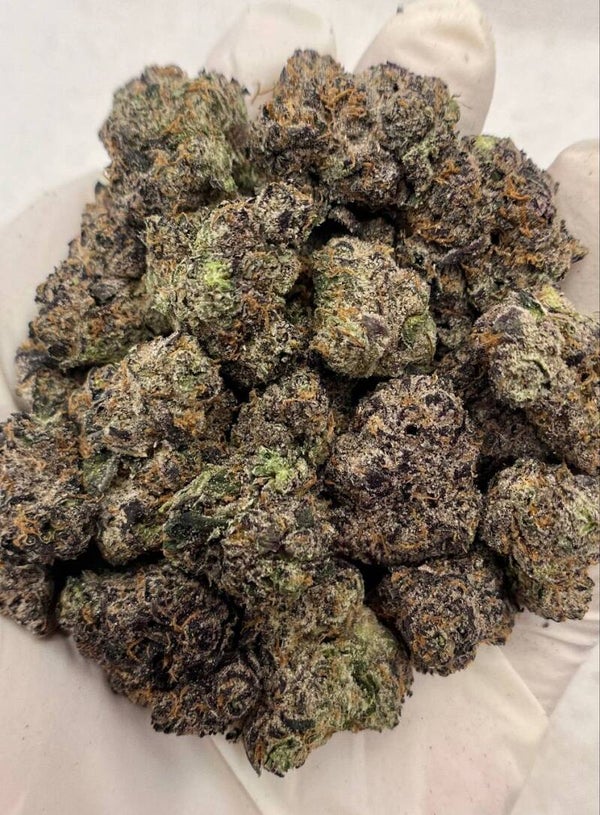 Black Mamba