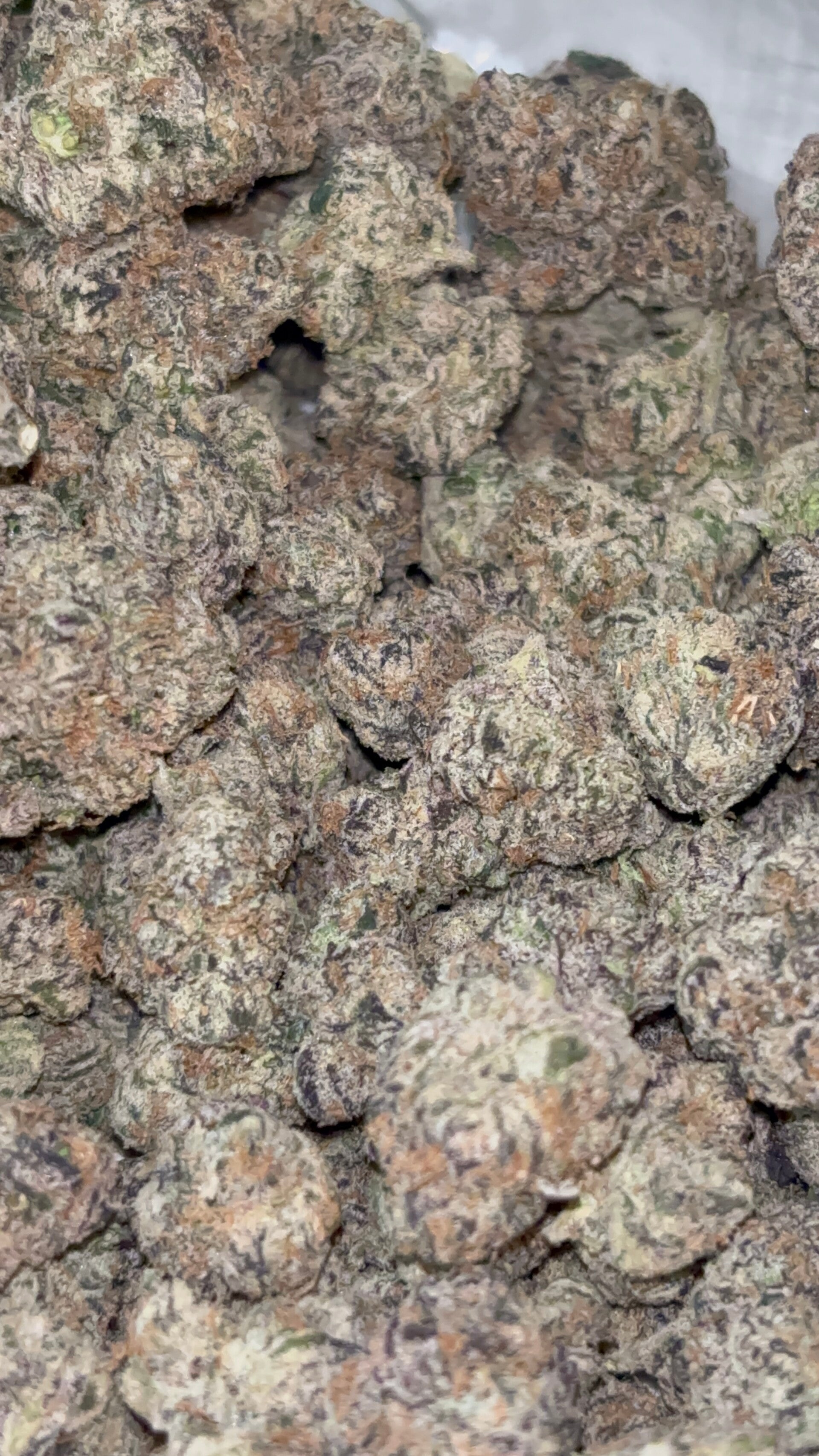 Runtz OG