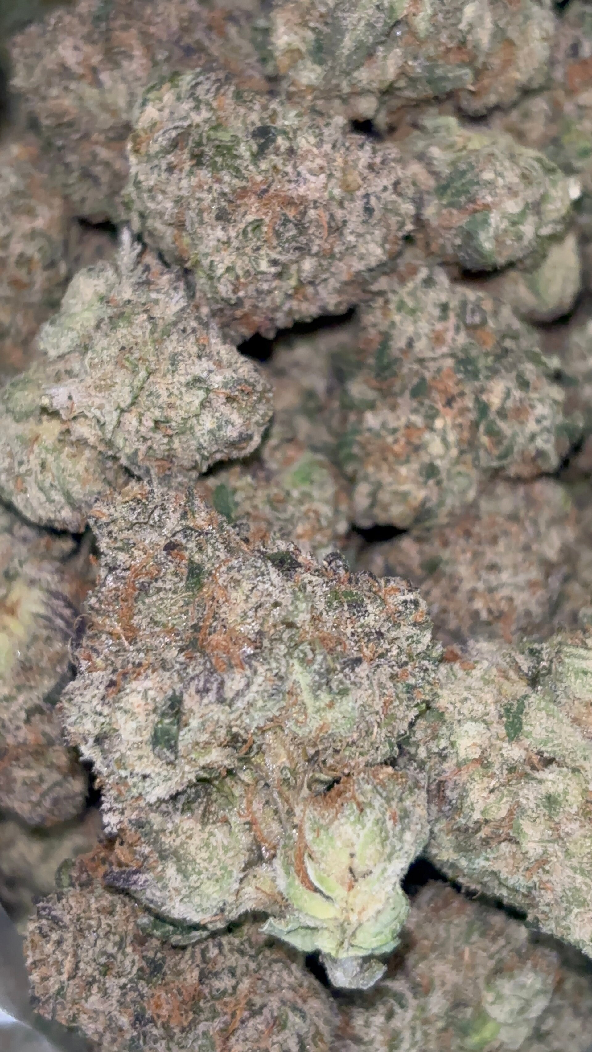 Skywalker OG