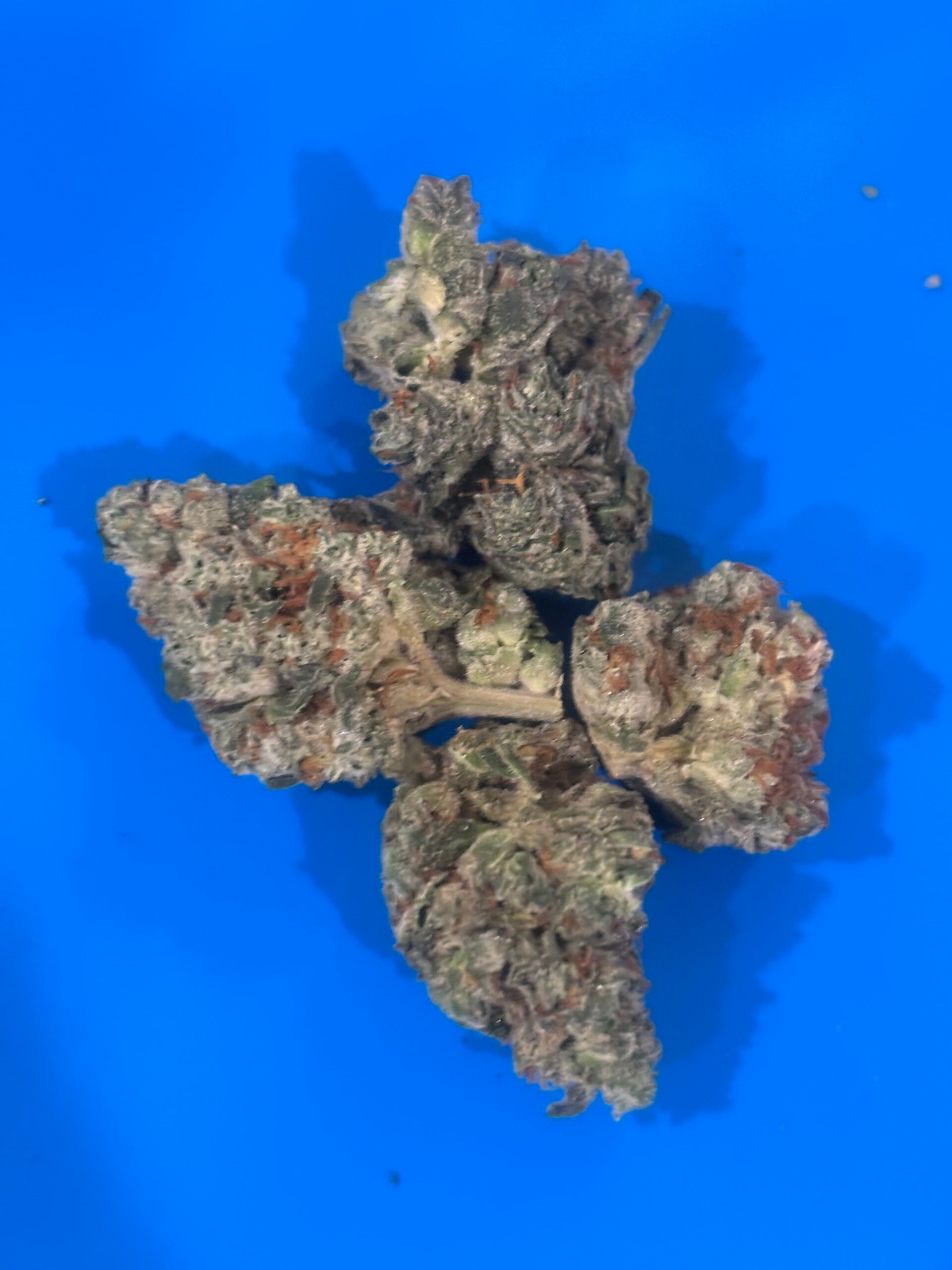 Cotton Candy