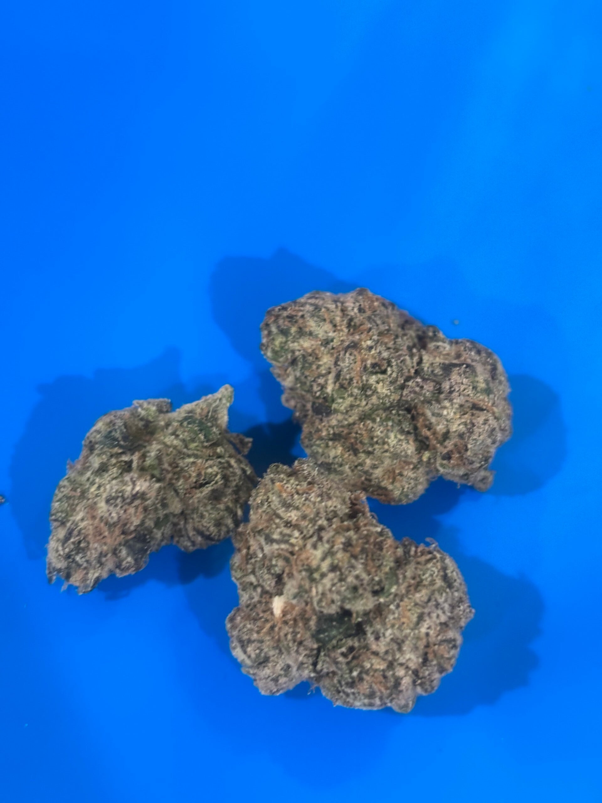 Gorilla Walker