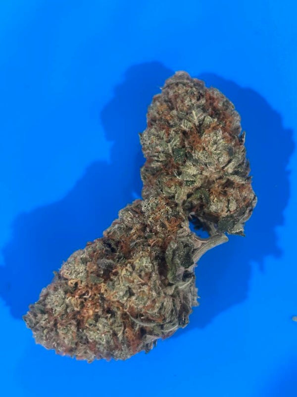 Yoda og