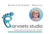Barvoets Studio