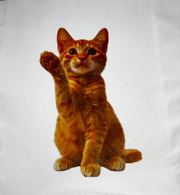 Housse de coussin Chat Roux