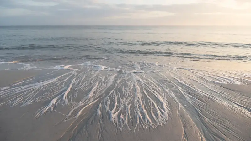 Vague se retirant sur une plage, métaphore des vagues de chagrin qui reviennent après la perte d’un animal.