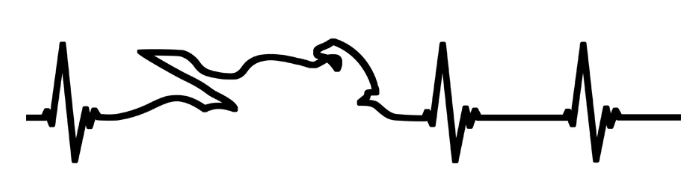 Sticker / Autocollants - Motorcycle heartbeat 2-pack