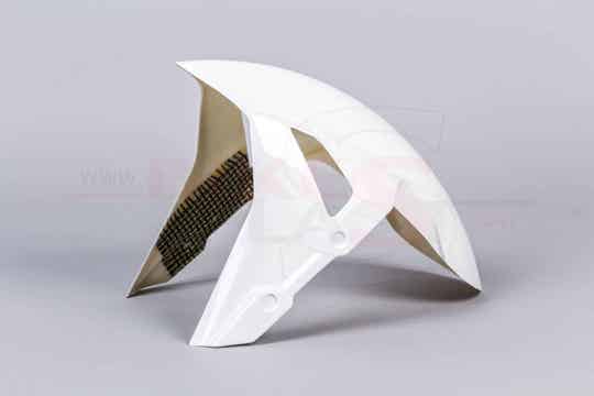 BMW S1000RR 2019-2020 - Front Fender