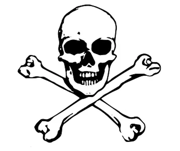 Sticker / Autcollant - Skull