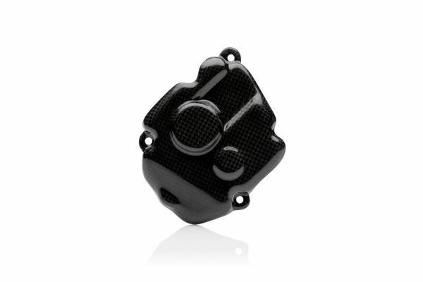 Kawasaki Ninja ZX10R 2011-2020 - Carbon Fiber Pick Up Cover