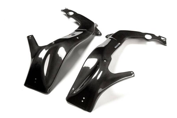 Kawasaki ZX-6R 2009-2019 - Carbon Fiber Swingarrm Covers