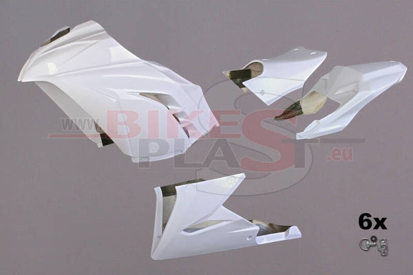 Kawasaki ZX 300 2013-2017 – Race Fairing Kit