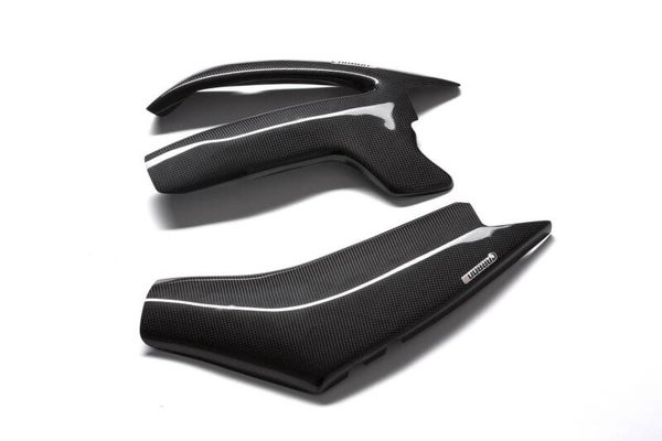 YAMAHA FZ1 Fazer 2006-2015 - Carbon Fiber Swingarm Covers