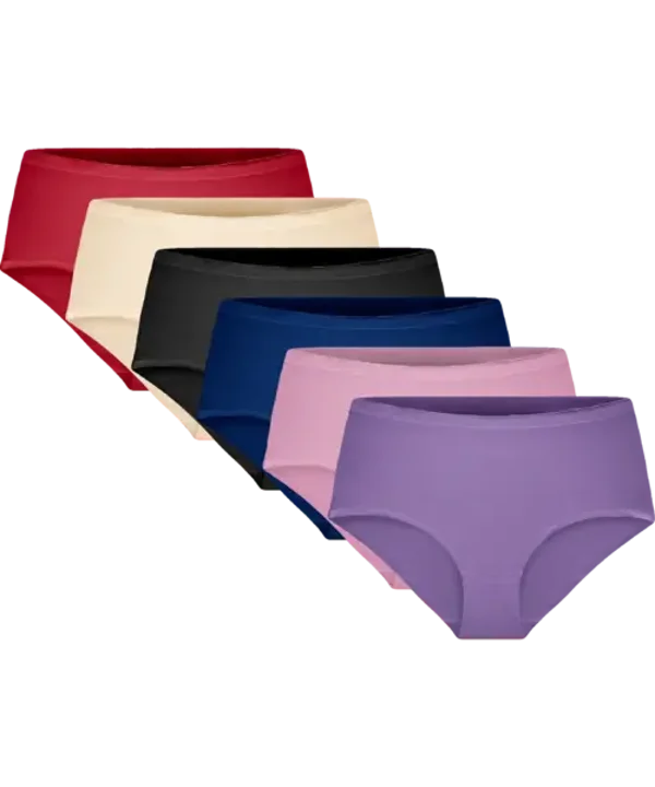 Dames Slips Naadloos Maat L/XL 951 (6 stuks)