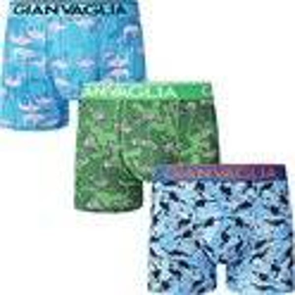 Gianvaglia Boxers Heren 5060