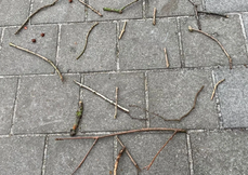Thema natuur | Linda's peuterpret