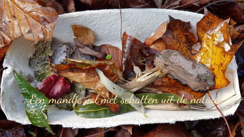 Thema herfst | Linda's peuterpret