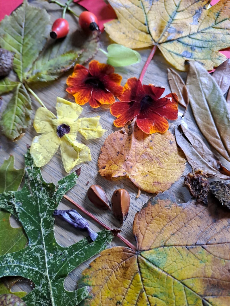 Thema herfst | Linda's peuterpret