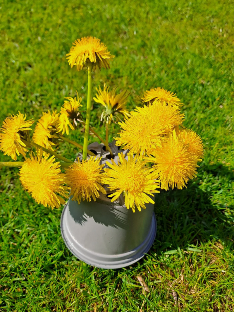Fijne motoriek | Thema lente | Linda's peuterpret