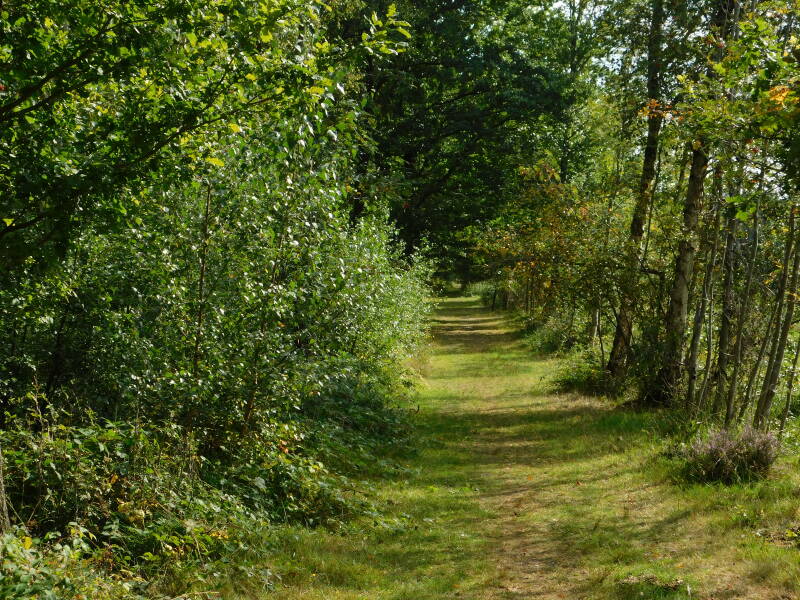 stiltewandeling, natuur, rust in je hoofd, op adem komen