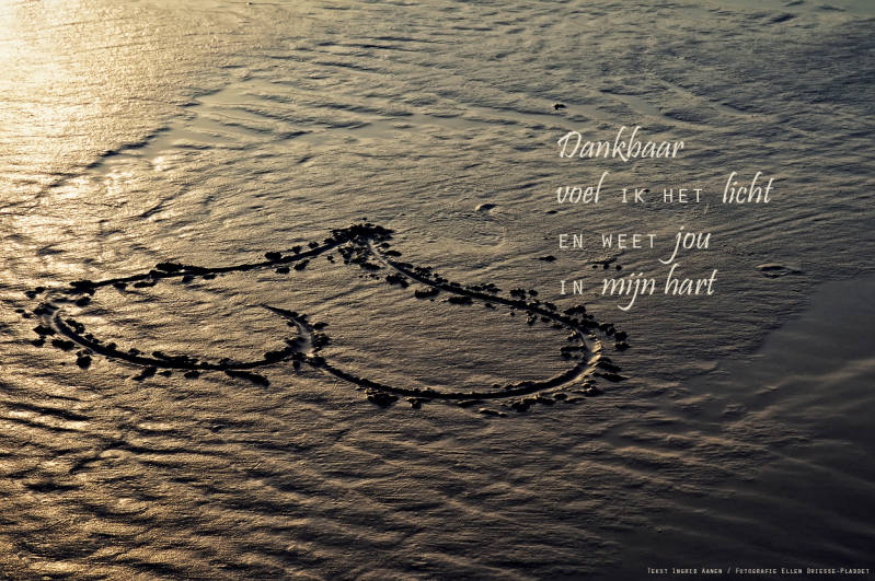 Copyright Ellen Driesse-Ingrid Aanen