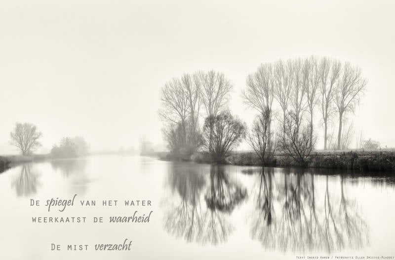 Copyright Ellen Driesse-Ingrid Aanen