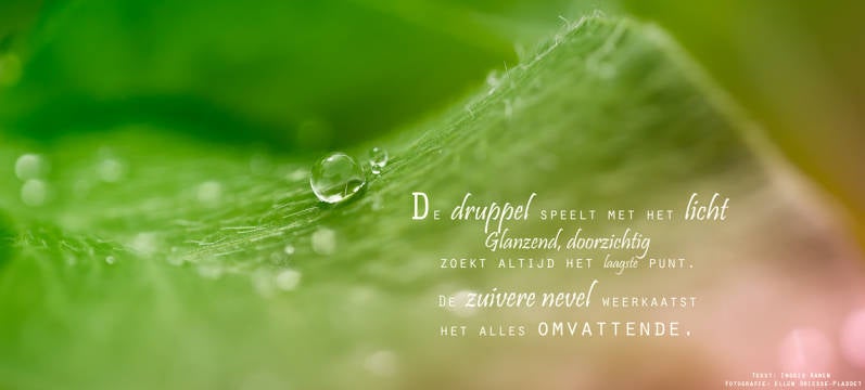 Copyright Ellen Driesse-Ingrid Aanen