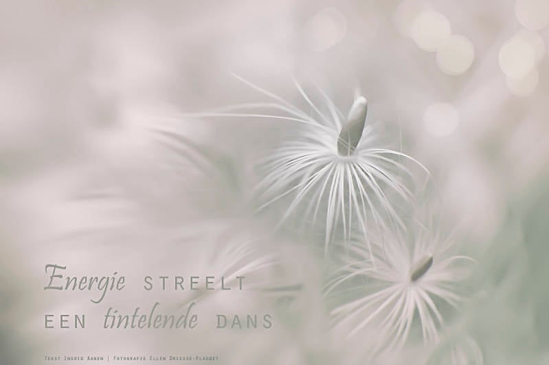 Copyright Ellen Driesse-Ingrid Aanen