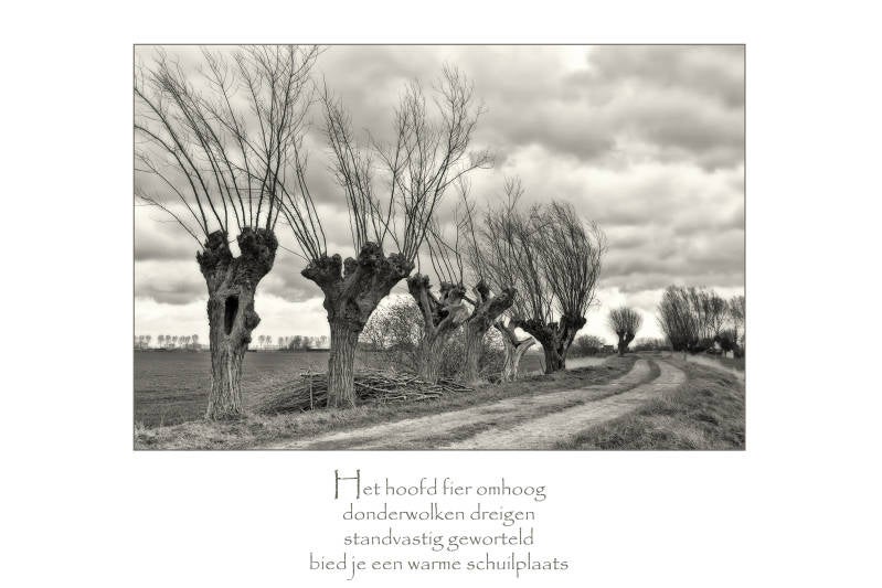 Copyright Ellen Driesse-Ingrid Aanen