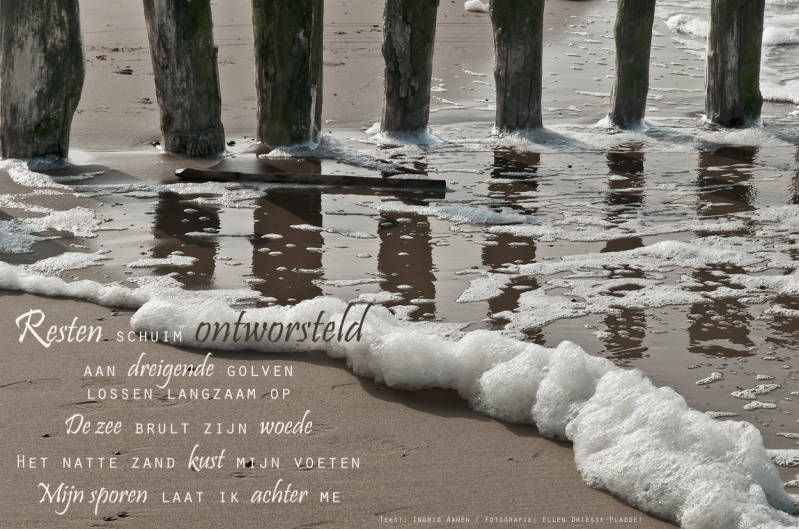 Copyright Ellen Driesse-Ingrid Aanen