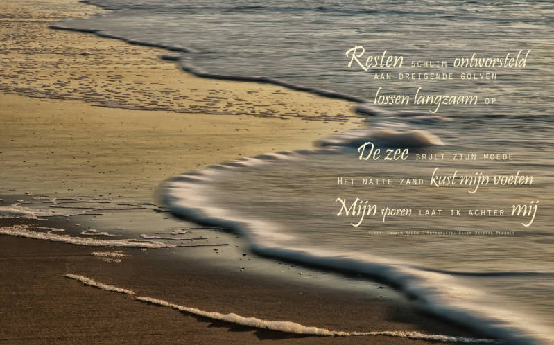 Copyright Ellen Driesse-Ingrid Aanen