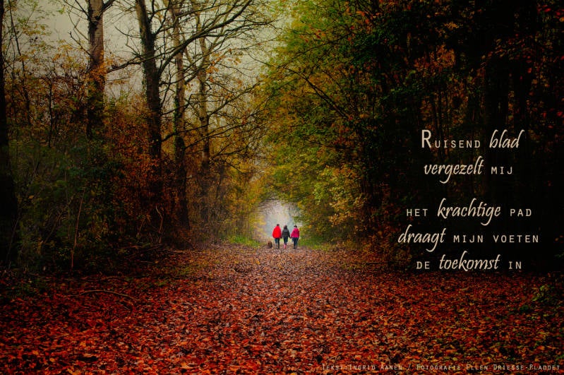 Copyright Ellen Driesse-Ingrid Aanen