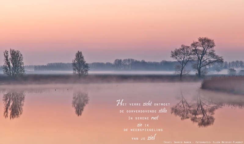 Copyright Ellen Driesse-Ingrid Aanen