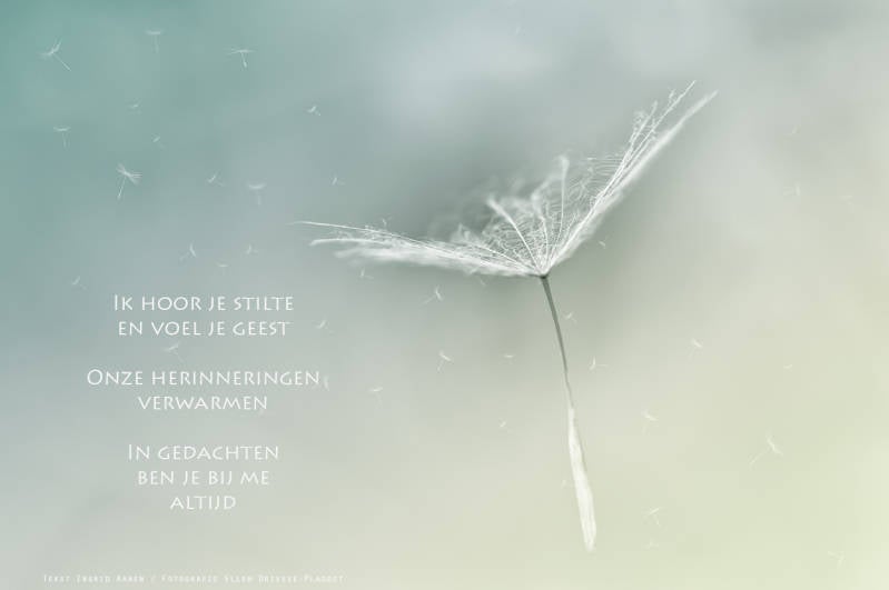 Copyright Ellen Driesse-Ingrid Aanen