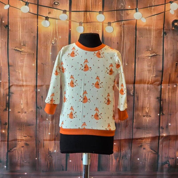 Pullover in Größe 80