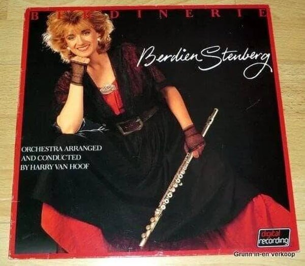 Berdien Stenberg - Berdinerie
