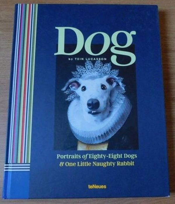 Dog Portraits of Eighty-Eight Dogs and One Little Naughty Rabbit