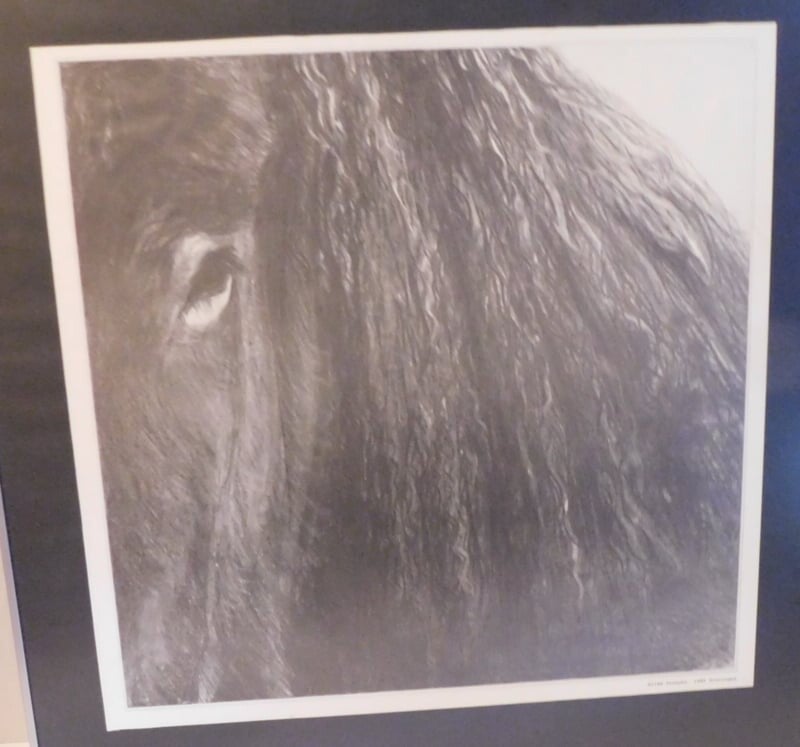 Friese Paarden, Gesigneerd in de druk: Hilda Snoeyer