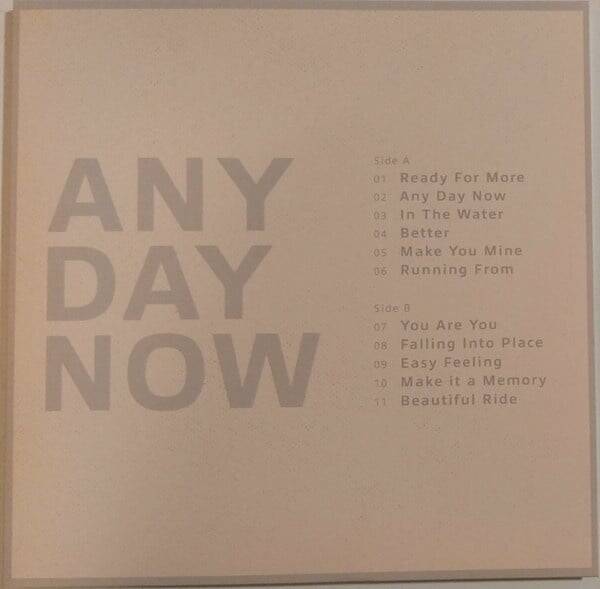 Krezip – Any Day Now | LP