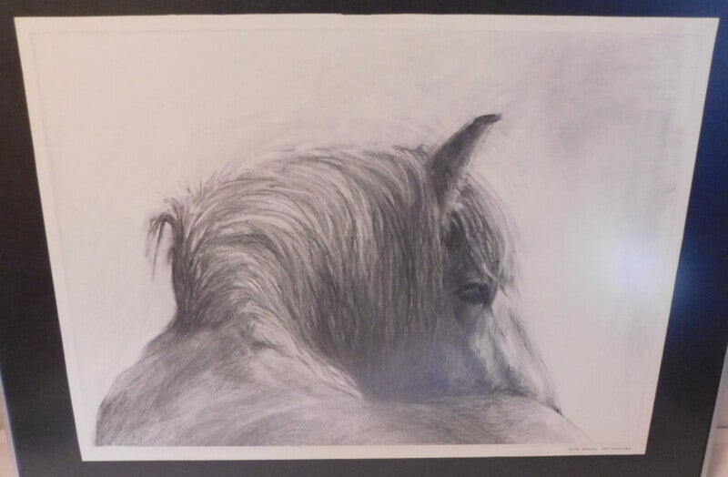 Friese Paarden, Gesigneerd in de druk: Hilda Snoeyer