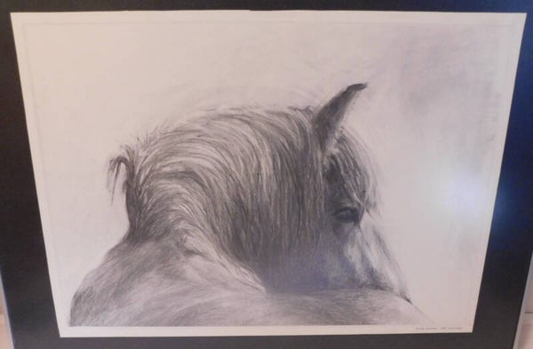 Friese Paarden, Gesigneerd in de druk: Hilda Snoeyer