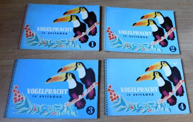 Vogelpracht in Avifauna Nummers: 1,2,3,4