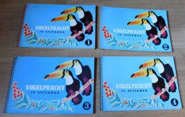 Vogelpracht in Avifauna Nummers: 1,2,3,4