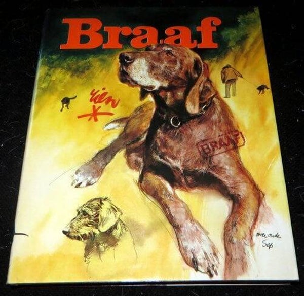 Rien Poortvliet, Braaf
