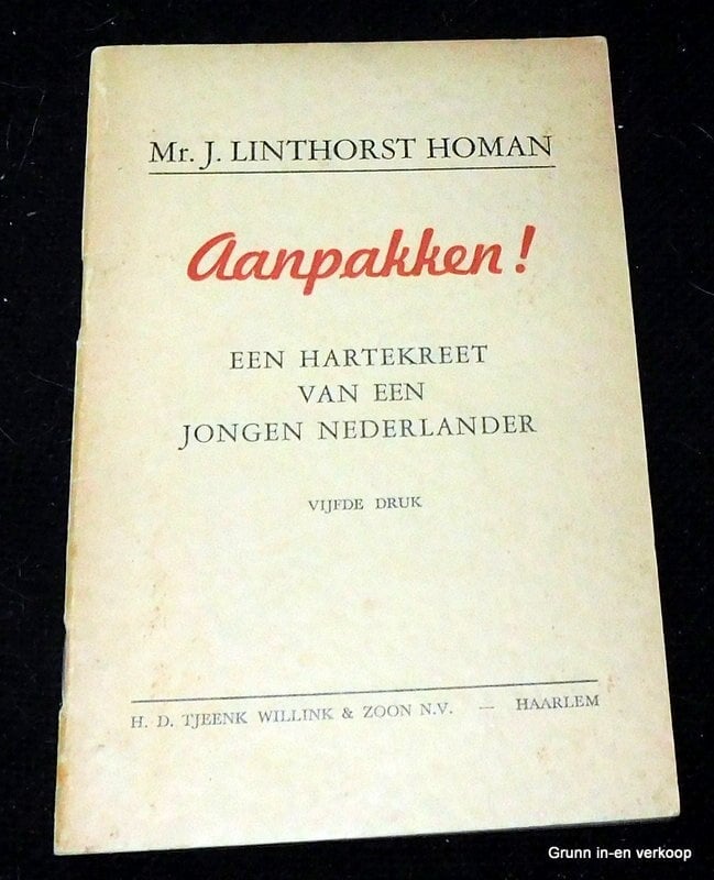 Aanpakken , een hartekreet van een jongen Nederlander