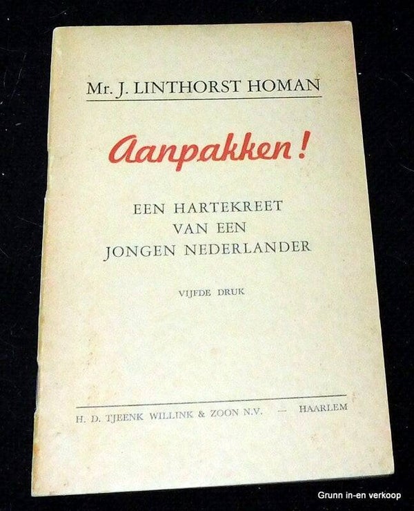 Aanpakken , een hartekreet van een jongen Nederlander