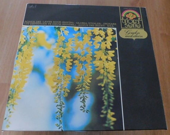 Various – Gouden Melodiën