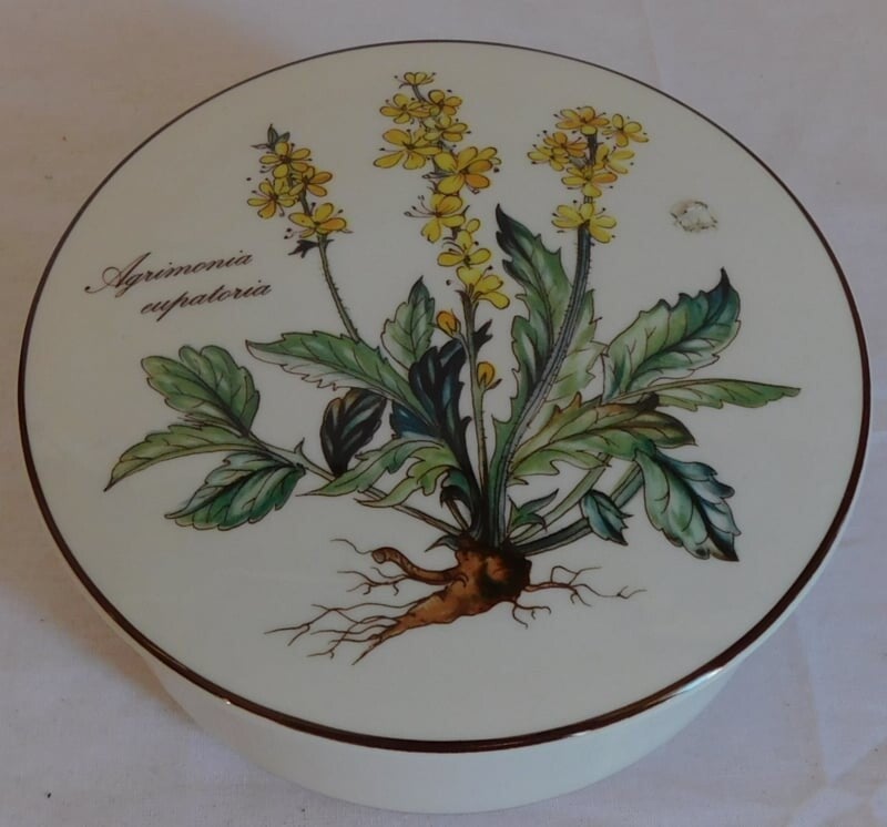 Villeroy & Boch Botanica dekseldoos