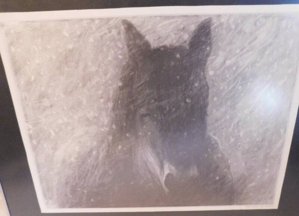 Friese Paarden, Gesigneerd in de druk: Hilda Snoeyer