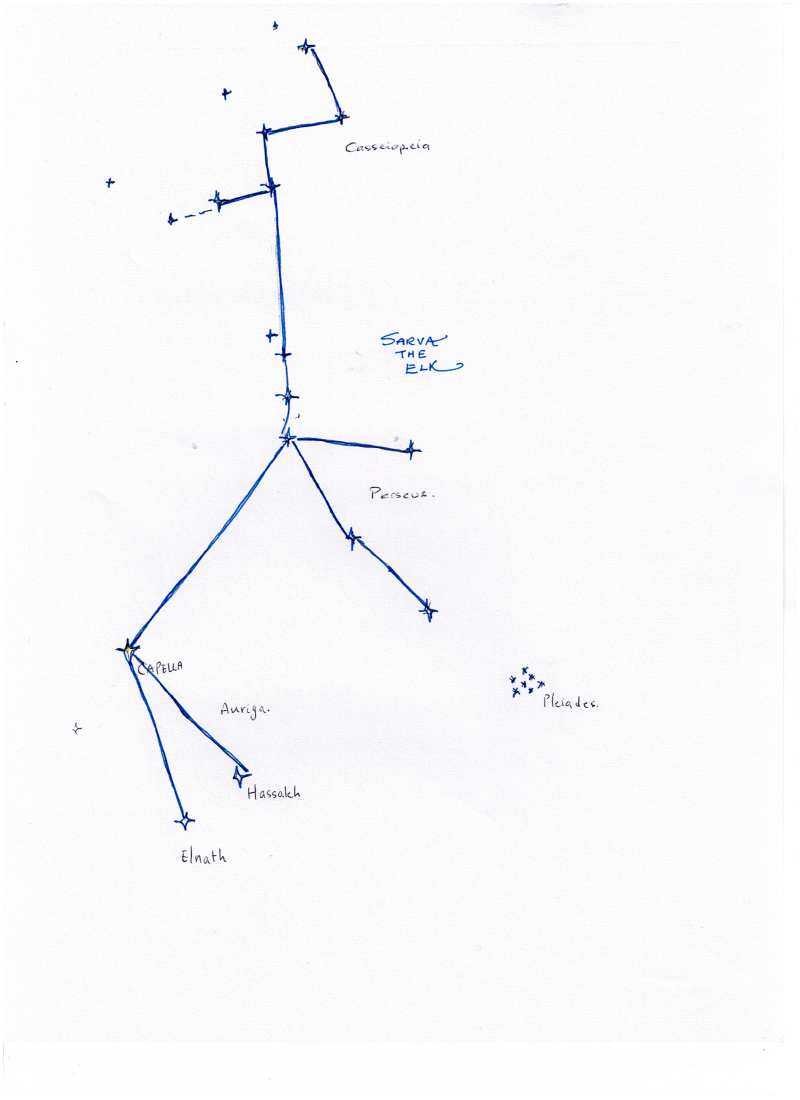 Diagram of the stars that form the shape of Sarva the Elk in the night sky