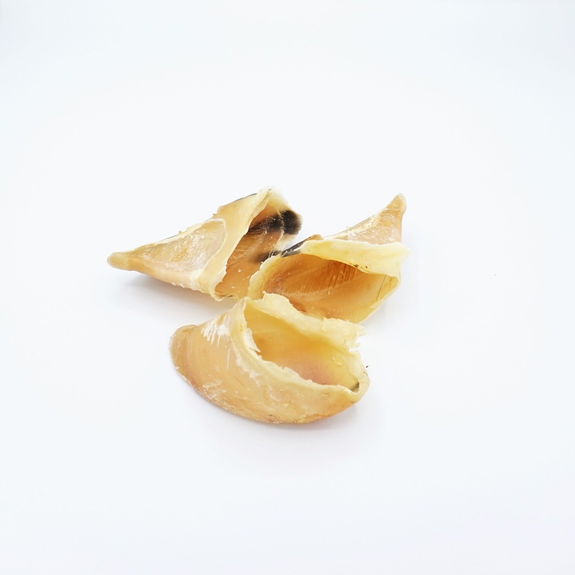 kalfshoefje 5 stuks